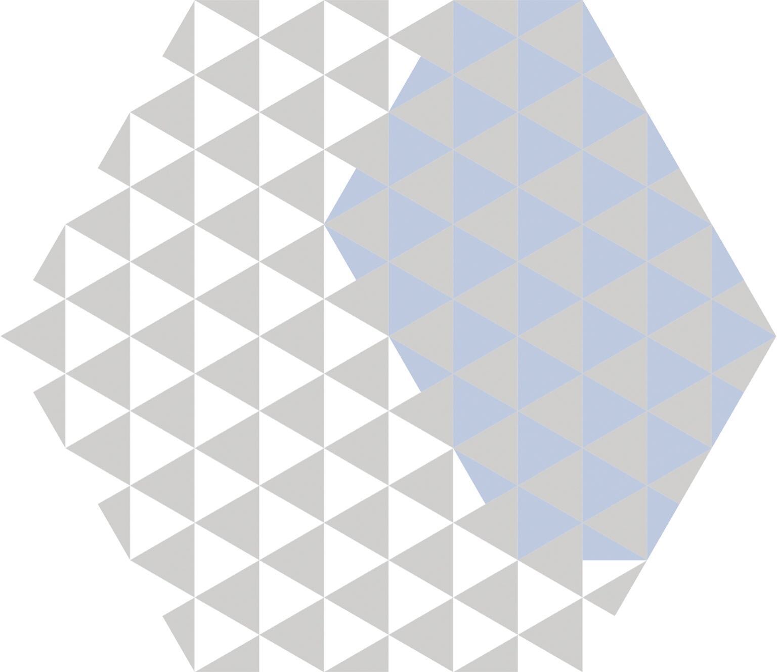 Гранитогрес Hexa Peonia
